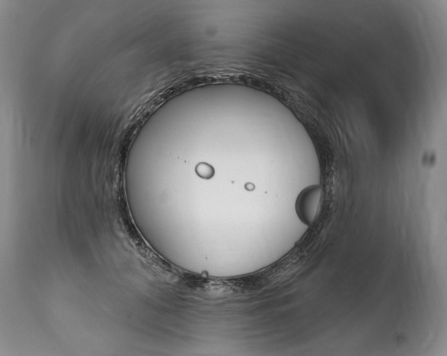 X0000112000608200908031048