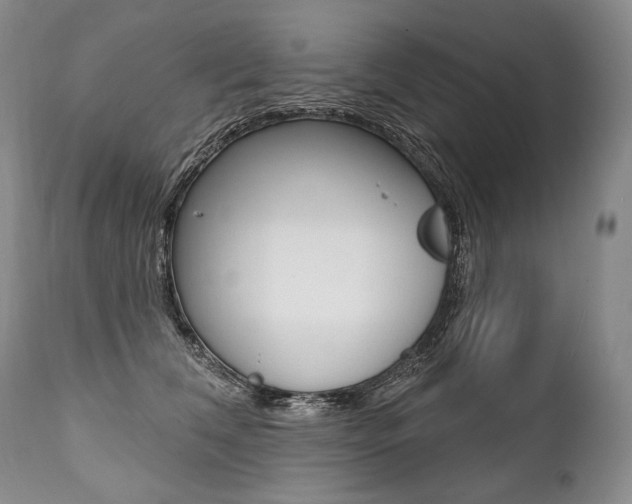 X0000112000612200908031048