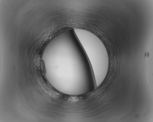 X0000112000613200908031048