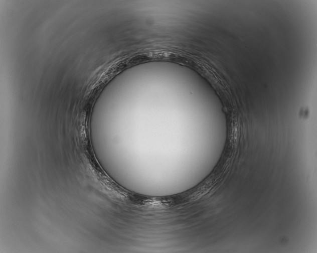 X0000112000616200908031048