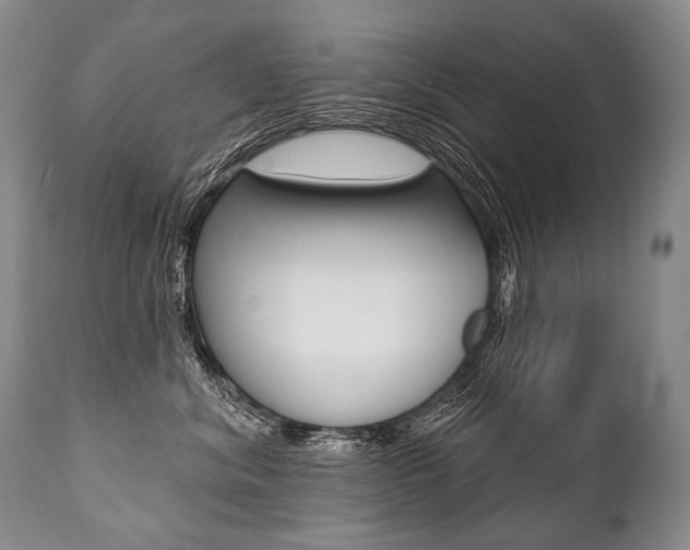 X0000112000620200908031048