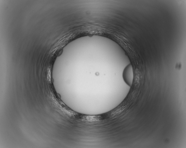 X0000112000622200908031048