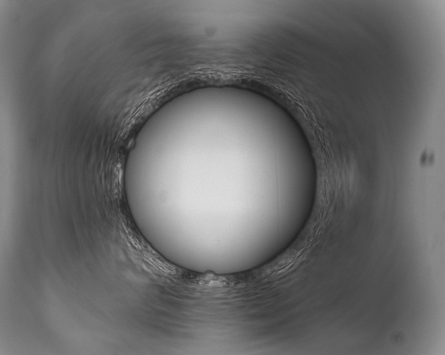 X0000112000624200908031048