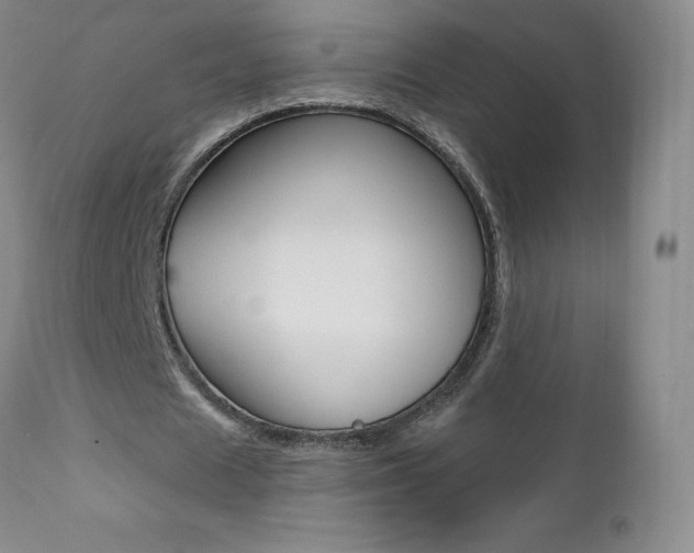 X0000112000625200908031047