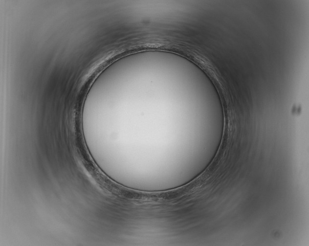 X0000112000626200908031047