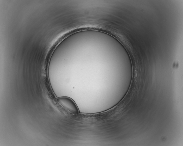 X0000112000628200908031047