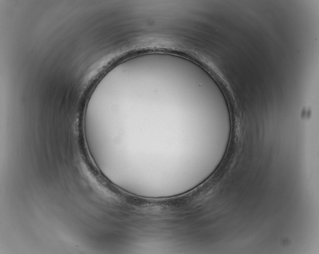 X0000112000629200908031047