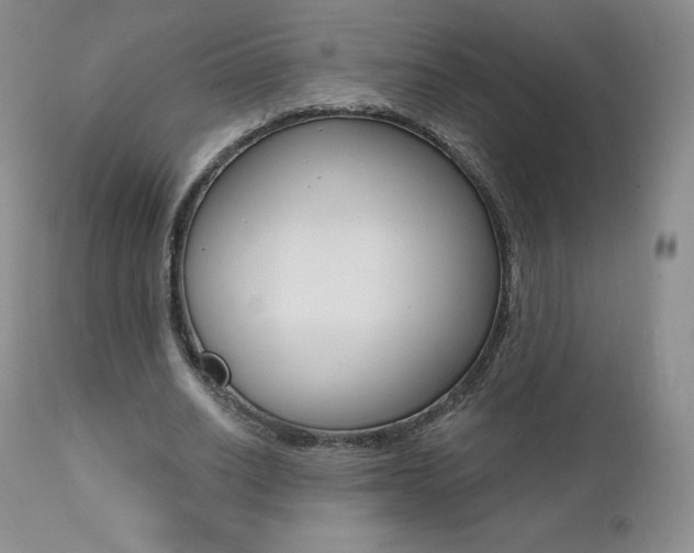 X0000112000630200908031047