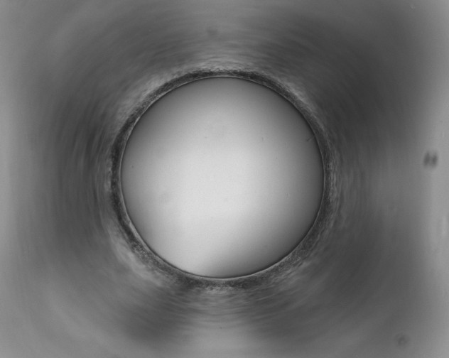 X0000112000631200908031047