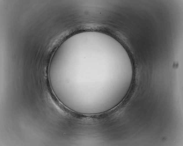 X0000112000633200908031047