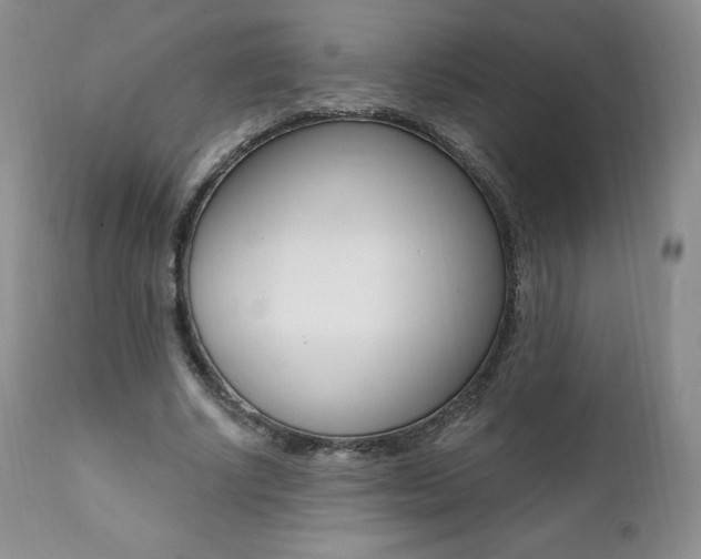 X0000112000634200908031047