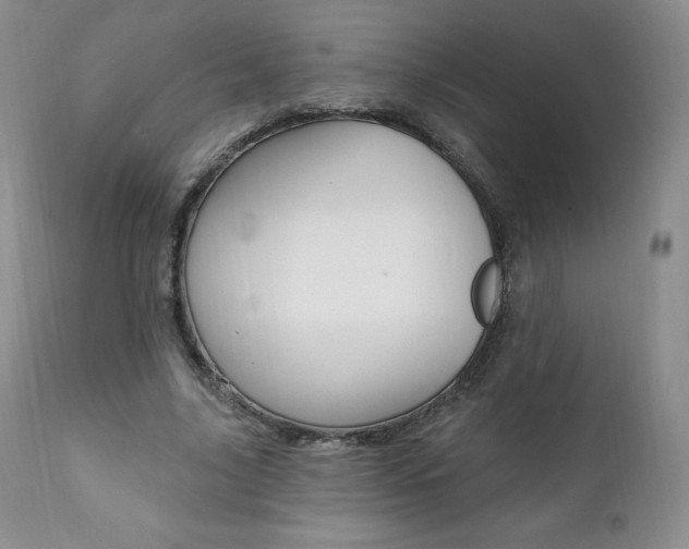 X0000112000635200908031047