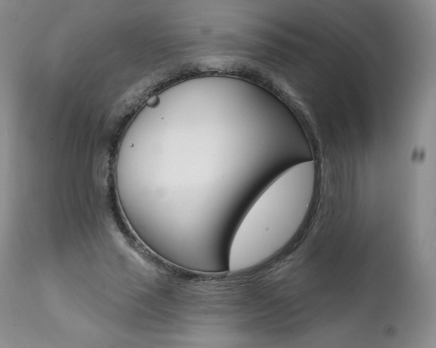 X0000112000637200908031047