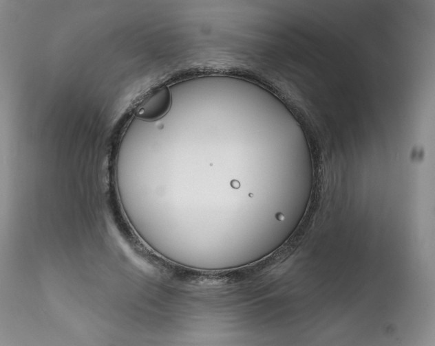 X0000112000638200908031047