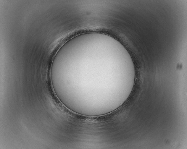 X0000112000640200908031047