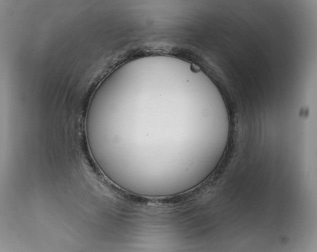 X0000112000641200908031047