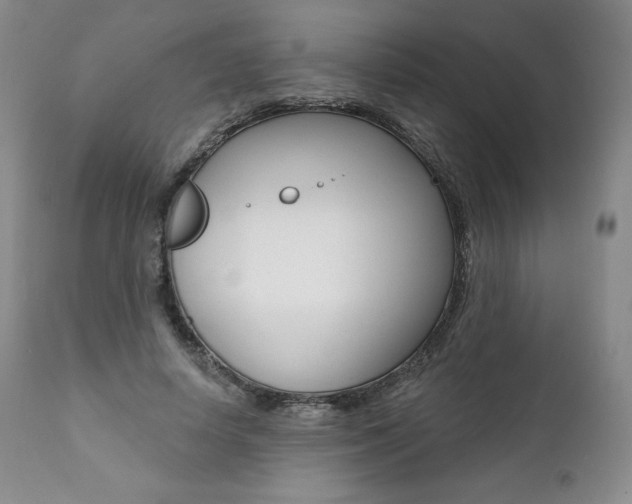 X0000112000642200908031047