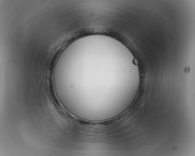 X0000112000643200908031047