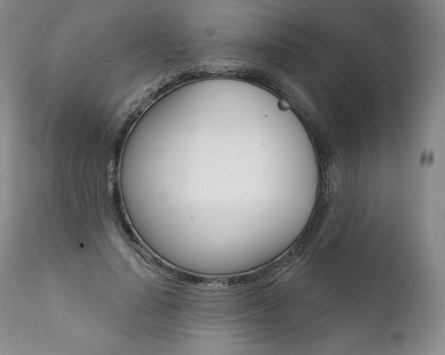 X0000112000644200908031047