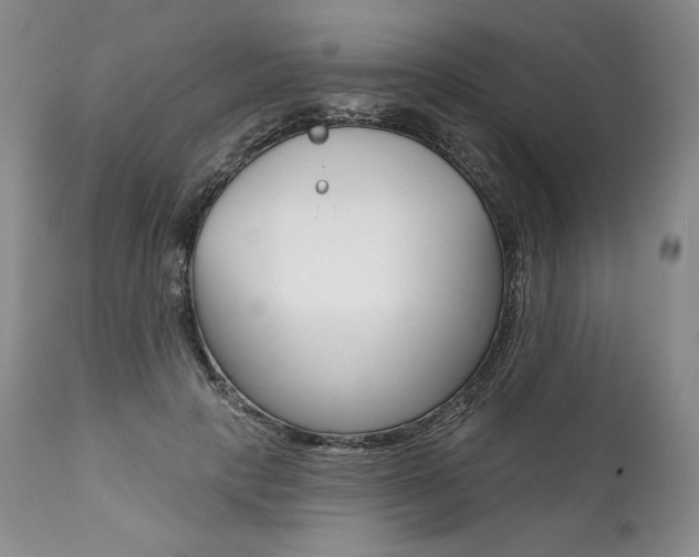 X0000112000649200908031047