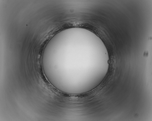 X0000112000650200908031047