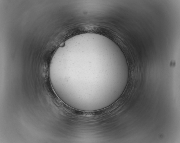 X0000112000651200908031047
