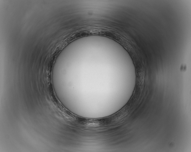 X0000112000653200908031047
