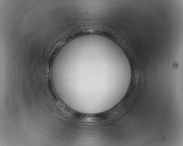 X0000112000657200908031047