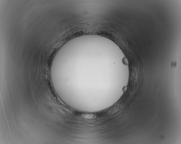 X0000112000659200908031047