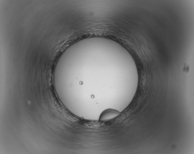 X0000112000661200908031047