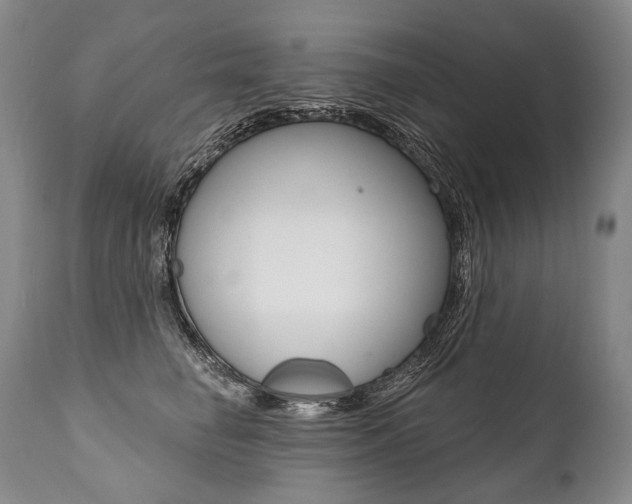 X0000112000662200908031047