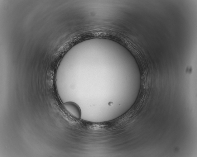 X0000112000664200908031048