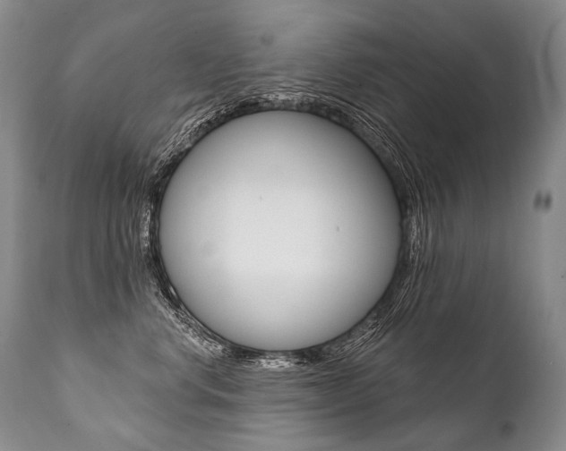 X0000112000668200908031048