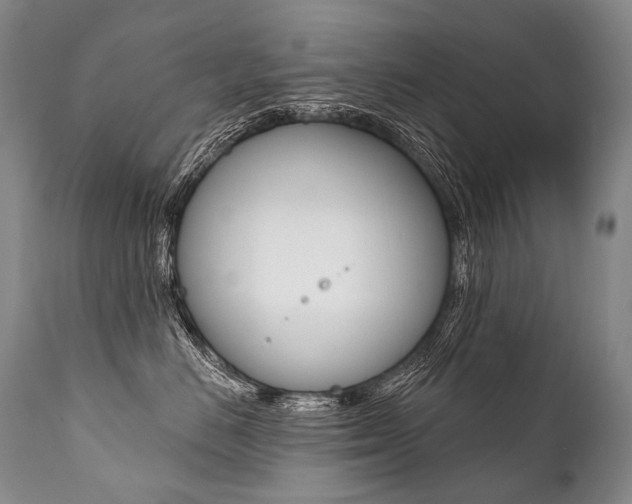 X0000112000670200908031048