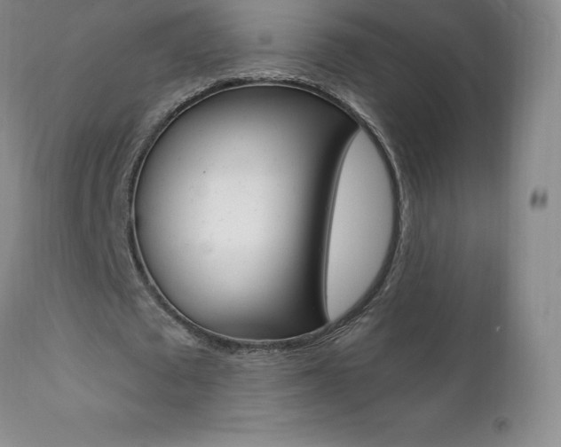 X0000112000673200908031047