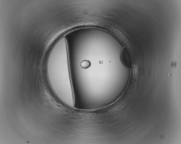 X0000112000676200908031047