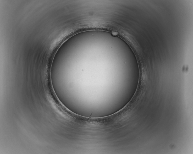 X0000112000677200908031047