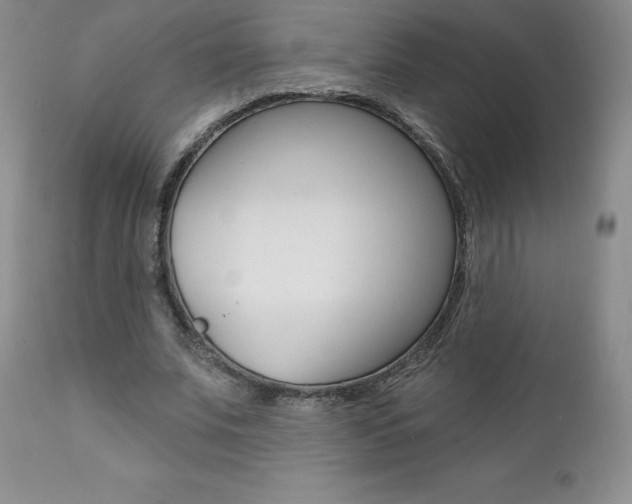 X0000112000679200908031047
