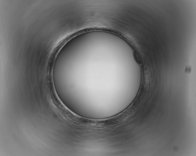 X0000112000680200908031047