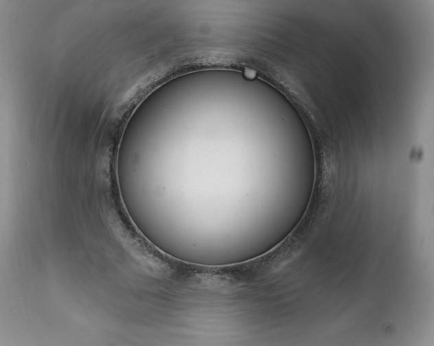 X0000112000681200908031047