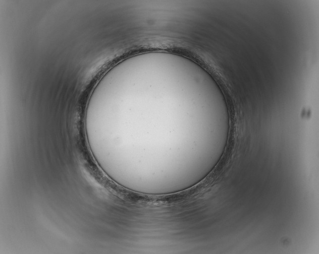 X0000112000683200908031046