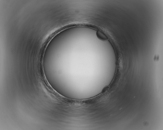 X0000112000684200908031046