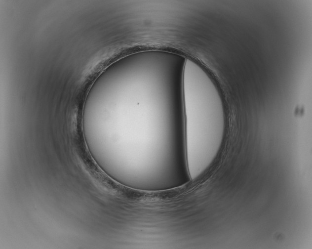 X0000112000685200908031046