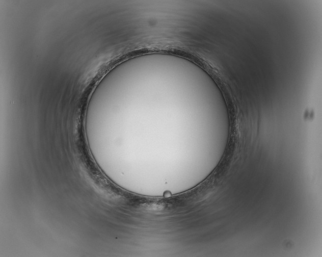 X0000112000687200908031046