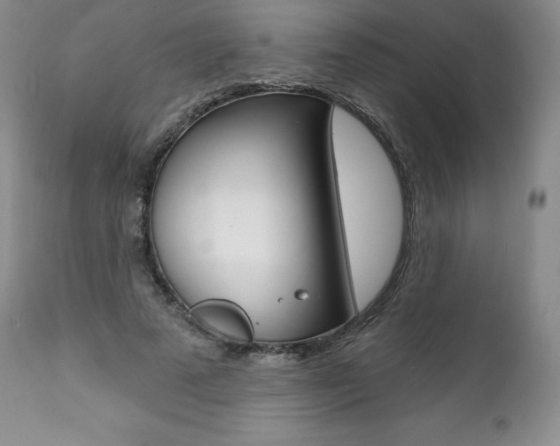 X0000112000689200908031046