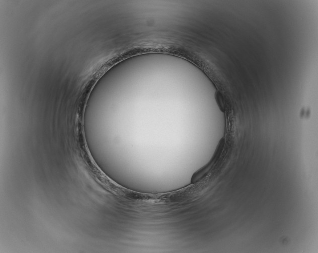 X0000112000692200908031046