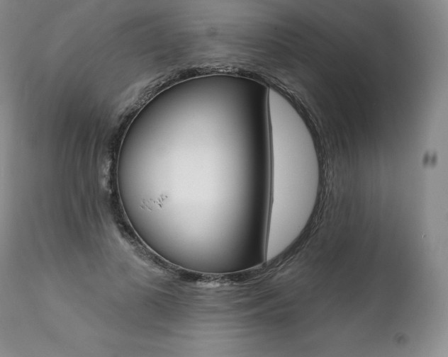 X0000112000693200908031046