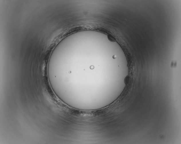 X0000112000694200908031046