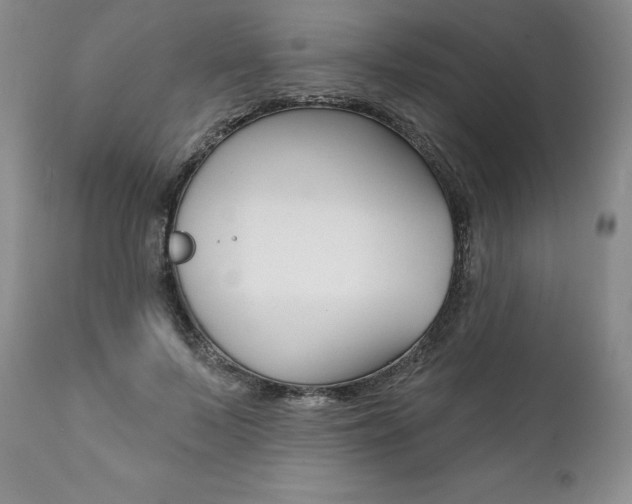 X0000112000695200908031046