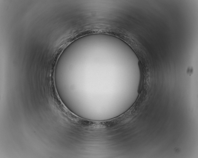 X0000112000696200908031046